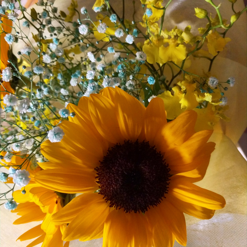 http://max048.com/images/s20161004_214601.jpg